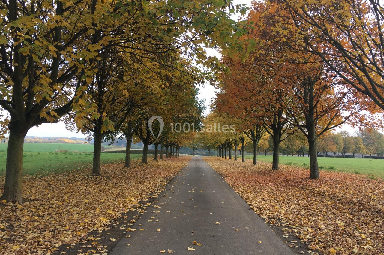 L'allée d'érables en automne