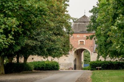 L'allée d'érables en automne