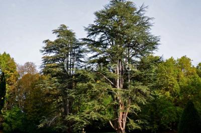 Location salle Saint-Laurent-les-Églises (Haute-Vienne) - Château de Walmath #36