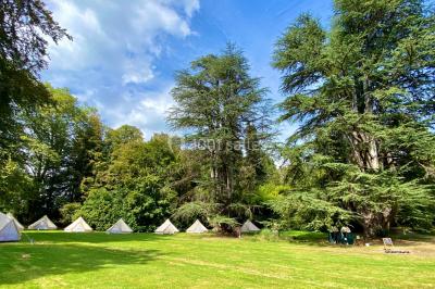 Location salle Saint-Laurent-les-Églises (Haute-Vienne) - Château de Walmath #36