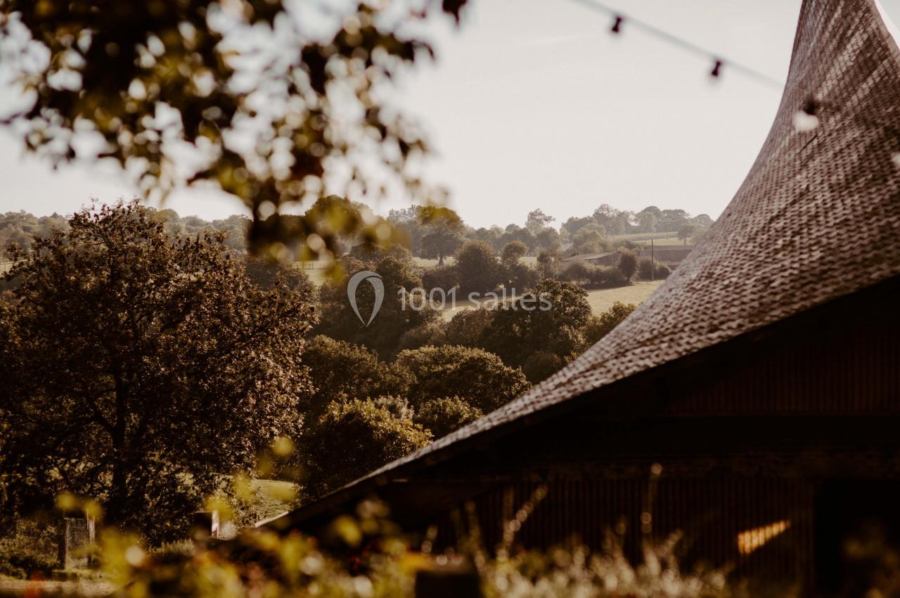 Paysage rural avec des arbres, des collines verdoyantes et une toiture en bois au premier plan sous une lumière douce.