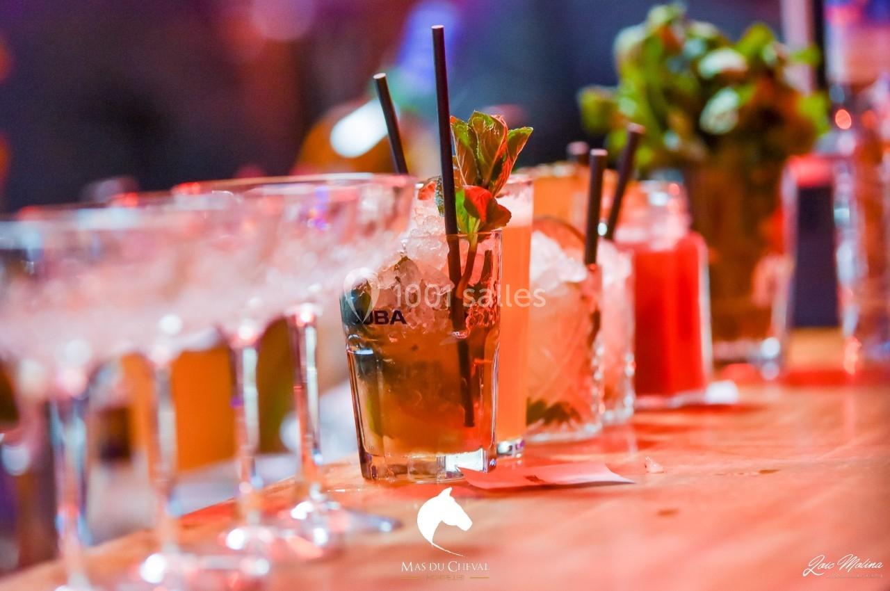 Location salle Lattes (Hérault) - Le Mas du Cheval #4