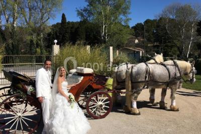 Un parking extérieur rempli de voitures, entouré de végétation et éclairé par une lumière naturelle.
