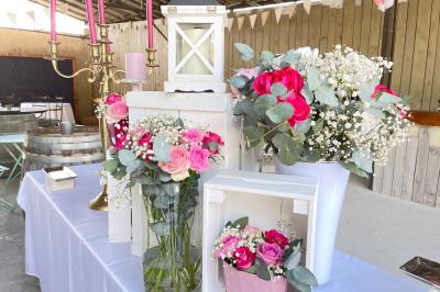 Un parking extérieur rempli de voitures, entouré de végétation et éclairé par une lumière naturelle.