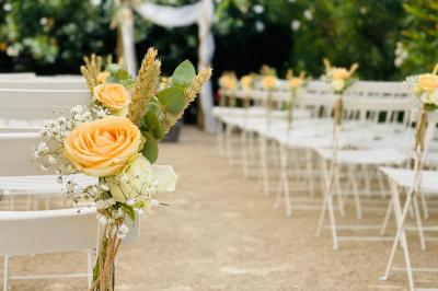 Un parking extérieur rempli de voitures, entouré de végétation et éclairé par une lumière naturelle.