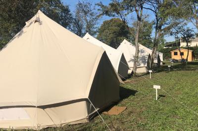 Un parking extérieur rempli de voitures, entouré de végétation et éclairé par une lumière naturelle.
