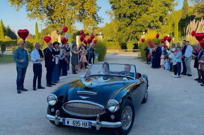 Un parking extérieur rempli de voitures, entouré de végétation et éclairé par une lumière naturelle.