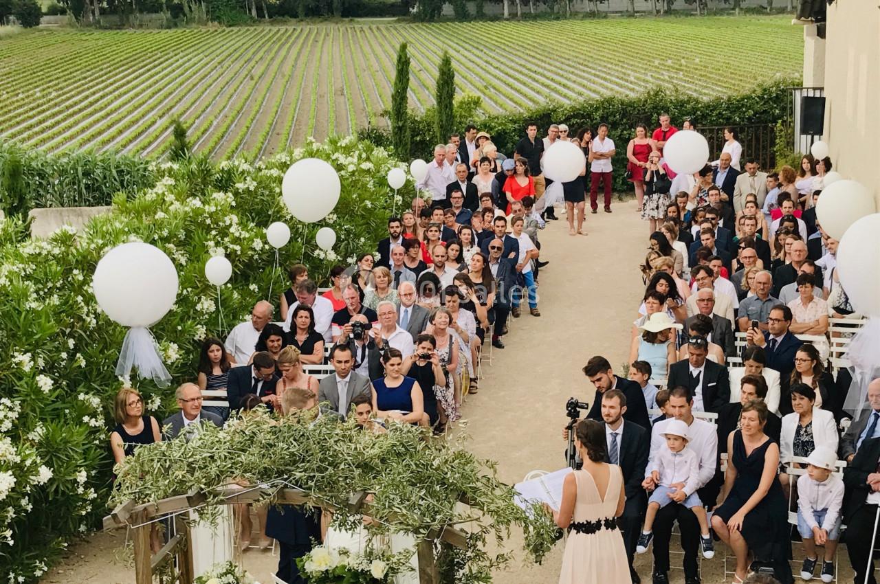 Cérémonie de mariage en plein air avec des invités assis, décorations blanches et vue sur des vignes en arrière-plan.