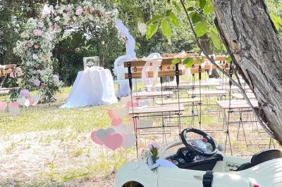 Un parking extérieur rempli de voitures, entouré de végétation et éclairé par une lumière naturelle.