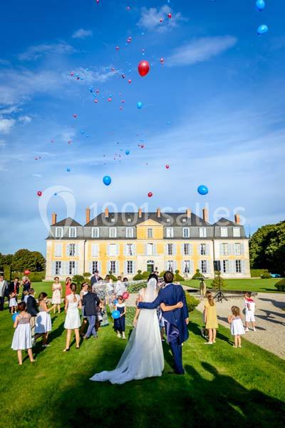 Location salle Angerville (Essonne) - Château De Dommerville #6 Location salle Angerville (Essonne) - Château De Dommerville #6