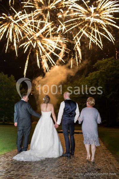 Un couple de mariés et deux invités regardent un feu d'artifice dans un jardin en soirée.