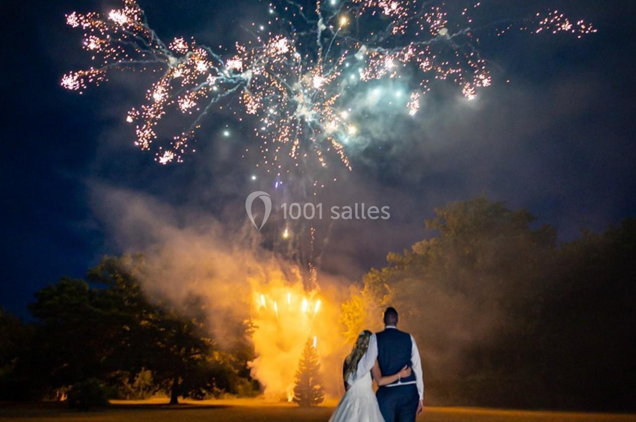 Un couple regarde un feu d'artifice illuminant le ciel nocturne dans un cadre naturel.