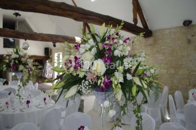 Un couple en tenue de mariage s'embrasse dans un jardin, avec des arbres en arrière-plan.