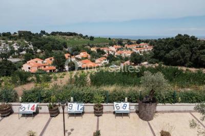 Location salle Collioure (Pyrénées-Orientales) - Les Terrasses De Collioure #12
