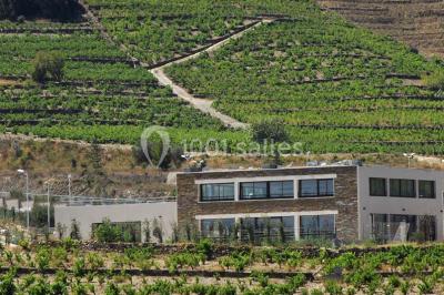 Location salle Collioure (Pyrénées-Orientales) - Les Terrasses De Collioure #12