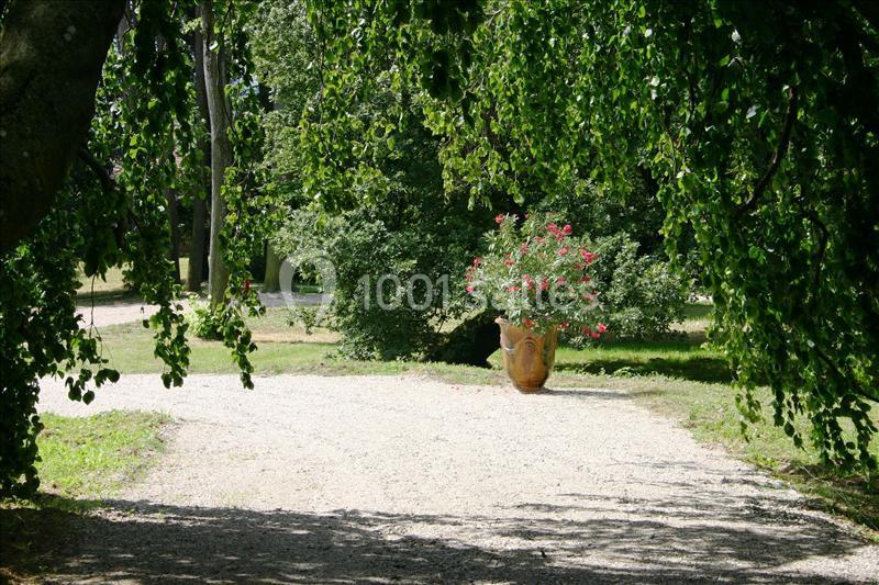 Allée gravillonnée bordée d'arbres avec un grand pot en terre cuite contenant des fleurs roses au centre.