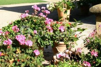 Lit avec baldaquin blanc, table de chevet en bois avec lampe en cristal, bougie et livres posés dessus.