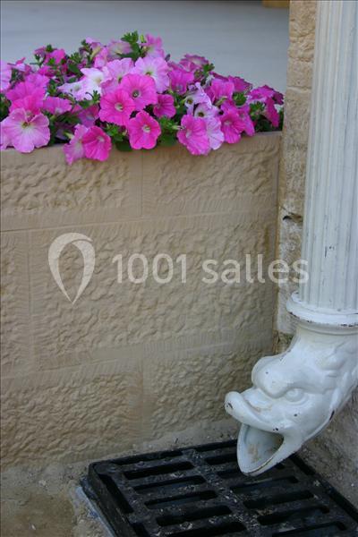 Fleurs roses et violettes sur un muret en pierre près d'une gouttière blanche ornée d'une sculpture en forme de tête.