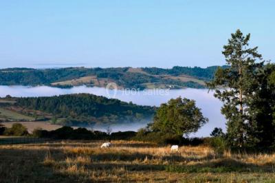 Miniature Location salle Cordelle (Loire) - Domaine des Grands Cèdres #15 Vue depuis un balcon avec une rambarde en fer forgé sur un parc verdoyant, des arbres et des collines à l'horizon.