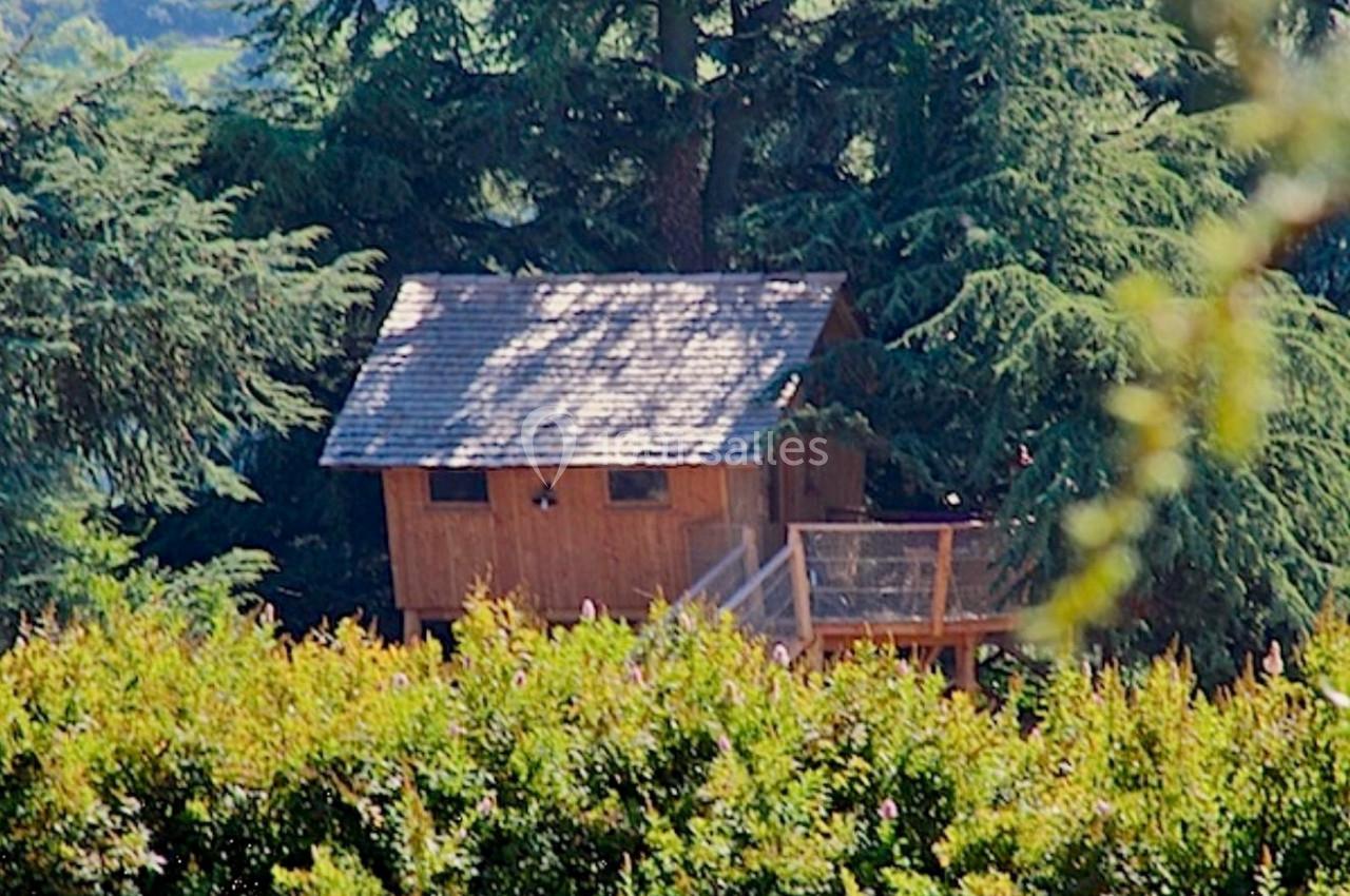 Cabane en bois perchée dans un arbre, entourée de végétation dense et de grands conifères.