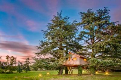 Miniature Location salle Cordelle (Loire) - Domaine des Grands Cèdres #37 Vue depuis un balcon avec une rambarde en fer forgé sur un parc verdoyant, des arbres et des collines à l'horizon.