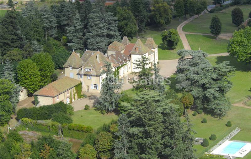Vue aérienne d'un château entouré de jardins, d'arbres et d'une piscine dans un cadre verdoyant.