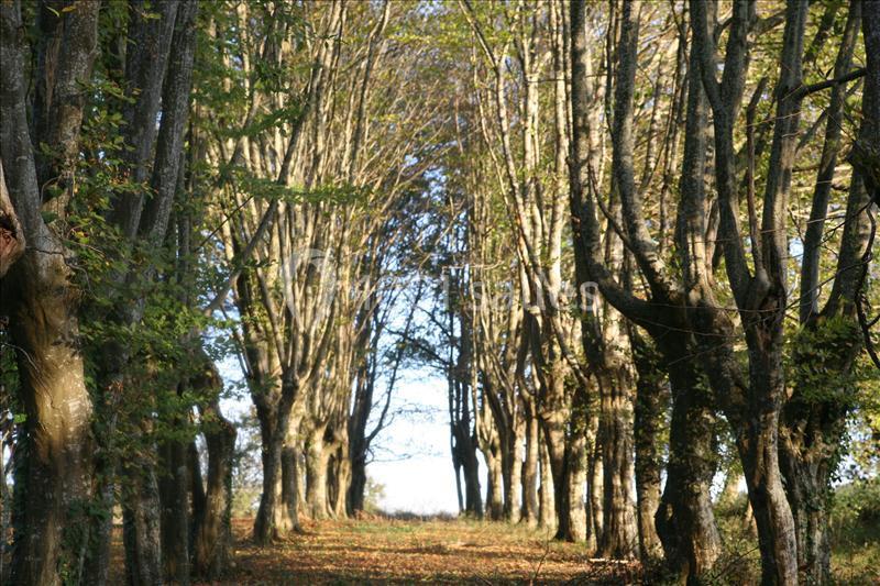 Location salle Lamonzie-Montastruc (Dordogne) - La Fourtonie #6