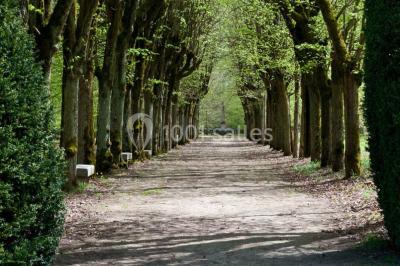 Location salle Bouray-sur-Juine (Essonne) - Domaine De Frémigny #22