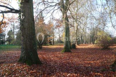 Mobilier de jardin en rotin avec coussins, disposé dans une véranda lumineuse avec des plantes en pot.