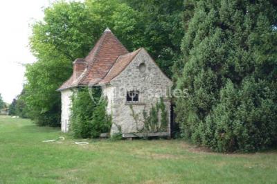 Mobilier de jardin en rotin avec coussins, disposé dans une véranda lumineuse avec des plantes en pot.