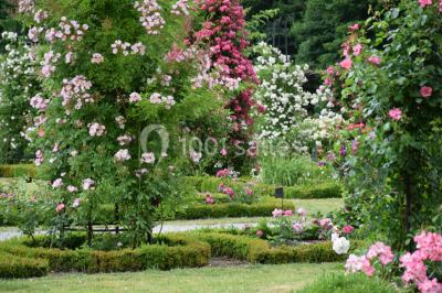 Location salle Fontaine-Chaalis (Oise) - Domaine de Chaalis #24