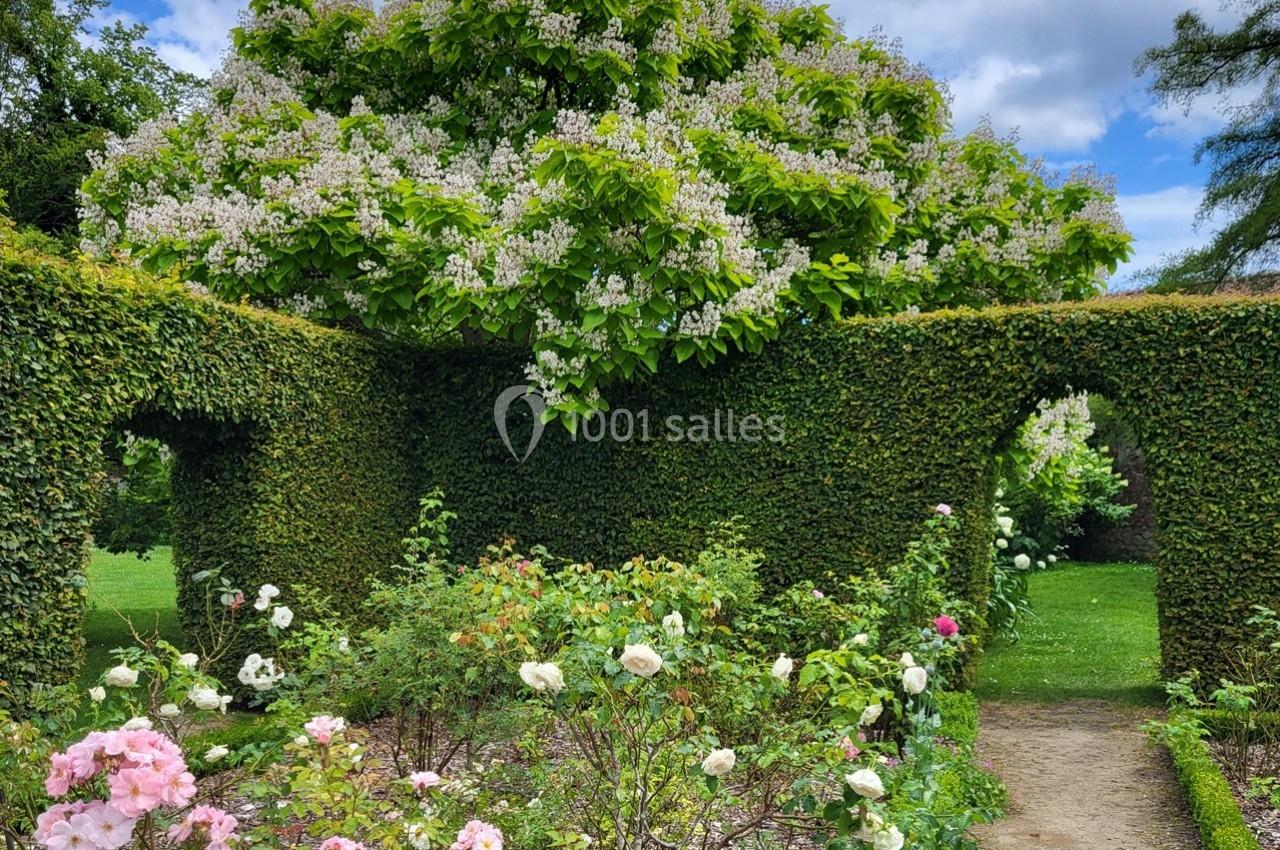 Allée de jardin bordée de rosiers en fleurs, avec une haie taillée en arches et un grand arbre en arrière-plan.