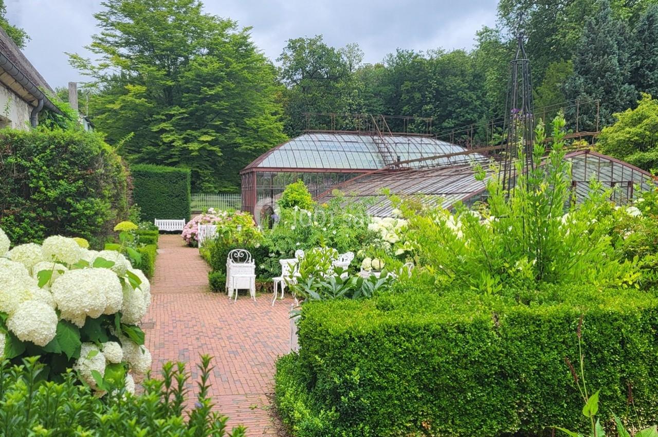 Allée en briques bordée de buissons taillés, hortensias et chaises blanches, menant à des serres vitrées dans un jardin…
