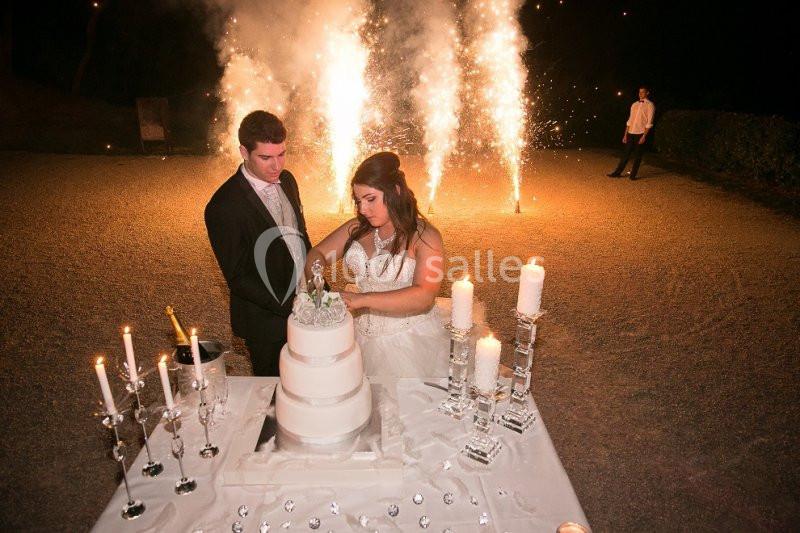 Location salle Limonest (Rhône) - Château De Sans Souci #13