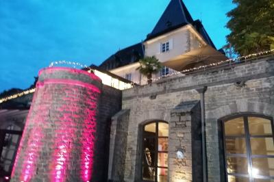 Miniature Location salle Limonest (Rhône) - Château De Sans Souci #38 Location salle Limonest (Rhône) - Château De Sans Souci #41