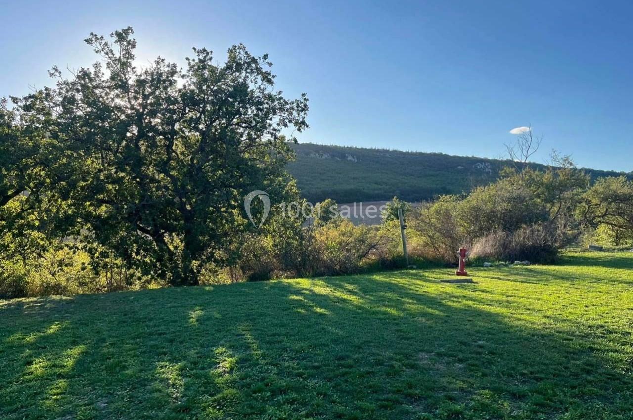 Arbre imposant sur une pelouse ensoleillée, avec des collines boisées en arrière-plan sous un ciel dégagé.