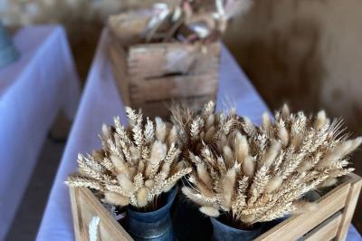 Bâtisse en pierre avec toit en tuiles, entourée de végétation et d'un chemin sous un ciel bleu clair.