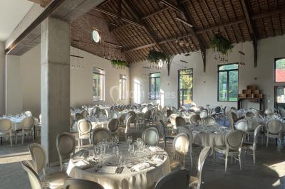 Un vélo ancien posé près de caisses en bois et d'objets décoratifs dans un jardin verdoyant.