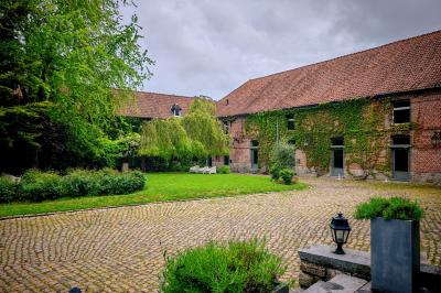 Un vélo ancien posé près de caisses en bois et d'objets décoratifs dans un jardin verdoyant.