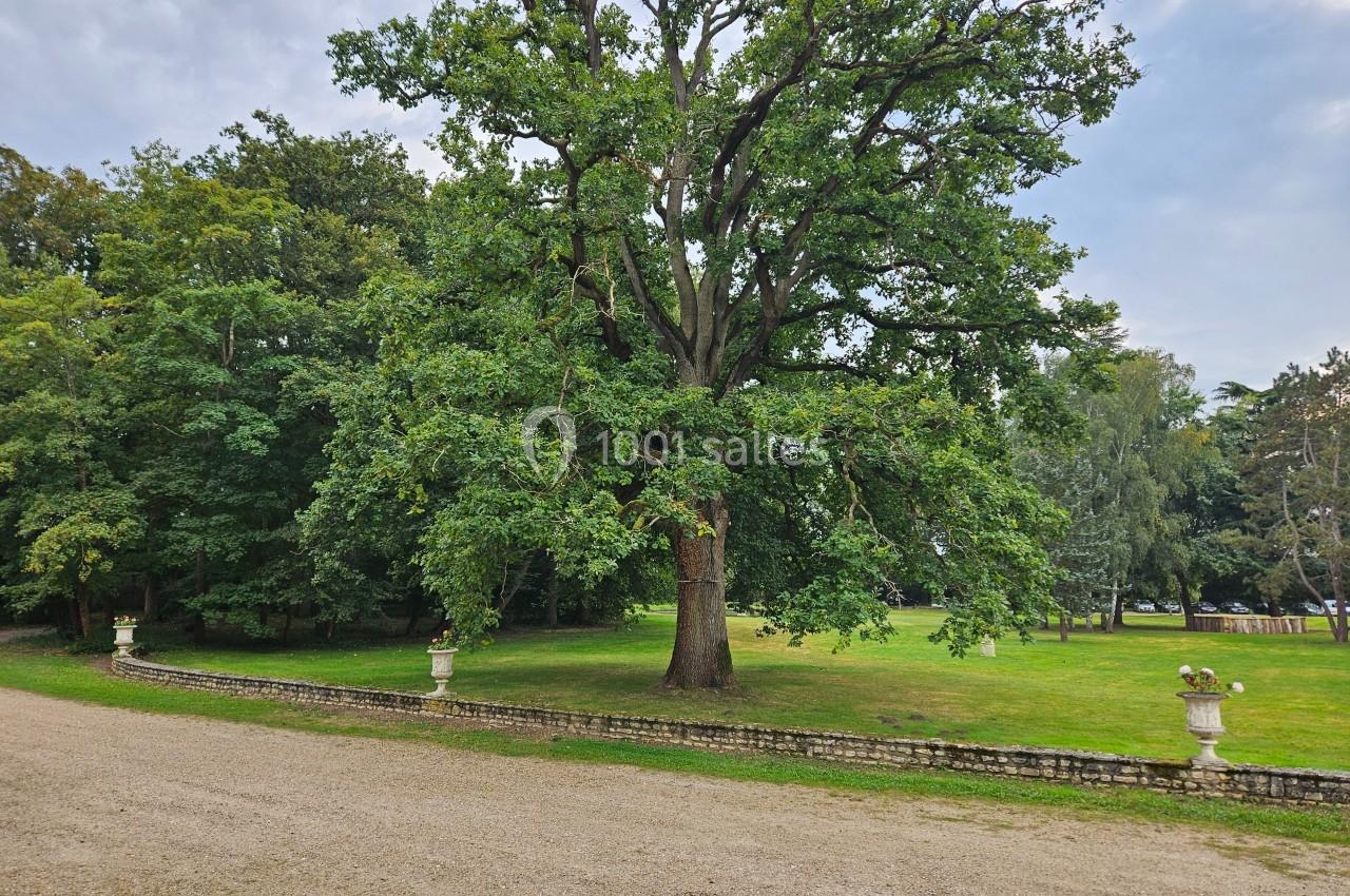 Un grand chêne au centre d'une pelouse verdoyante, bordée d'un chemin en gravier et de petits murets en pierre.