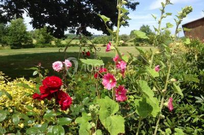 Un cheval de trait tire une calèche avec un conducteur et un passager, sur un chemin en milieu rural.