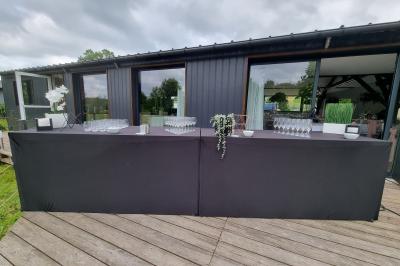 Un cheval de trait tire une calèche avec un conducteur et un passager, sur un chemin en milieu rural.