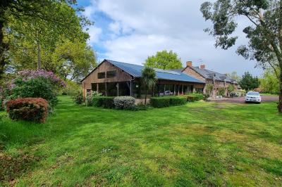 Un cheval de trait tire une calèche avec un conducteur et un passager, sur un chemin en milieu rural.