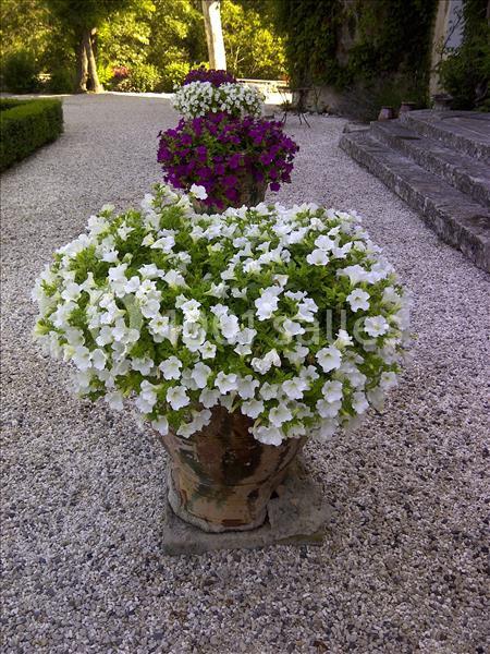 Location salle Sauve (Gard) - Château De Valfons #14