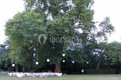 Location salle Rabastens (Tarn) - Château de Saint Géry #17