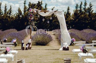 Miniature Location salle Cavaillon (Vaucluse) - La Bastide Des Barattes #4 Location salle Cavaillon (Vaucluse) - La Bastide Des Barattes #10