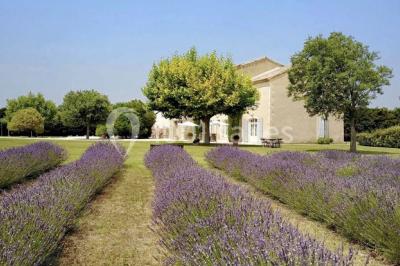 Miniature Location salle Cavaillon (Vaucluse) - La Bastide Des Barattes #3 Location salle Cavaillon (Vaucluse) - La Bastide Des Barattes #10