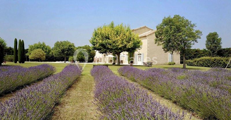 Location salle Cavaillon (Vaucluse) - La Bastide Des Barattes #3