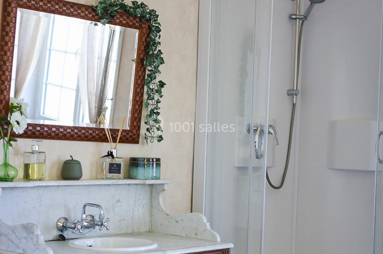 Salle de bain avec lavabo en marbre, miroir encadré de bois, plantes décoratives et cabine de douche vitrée.