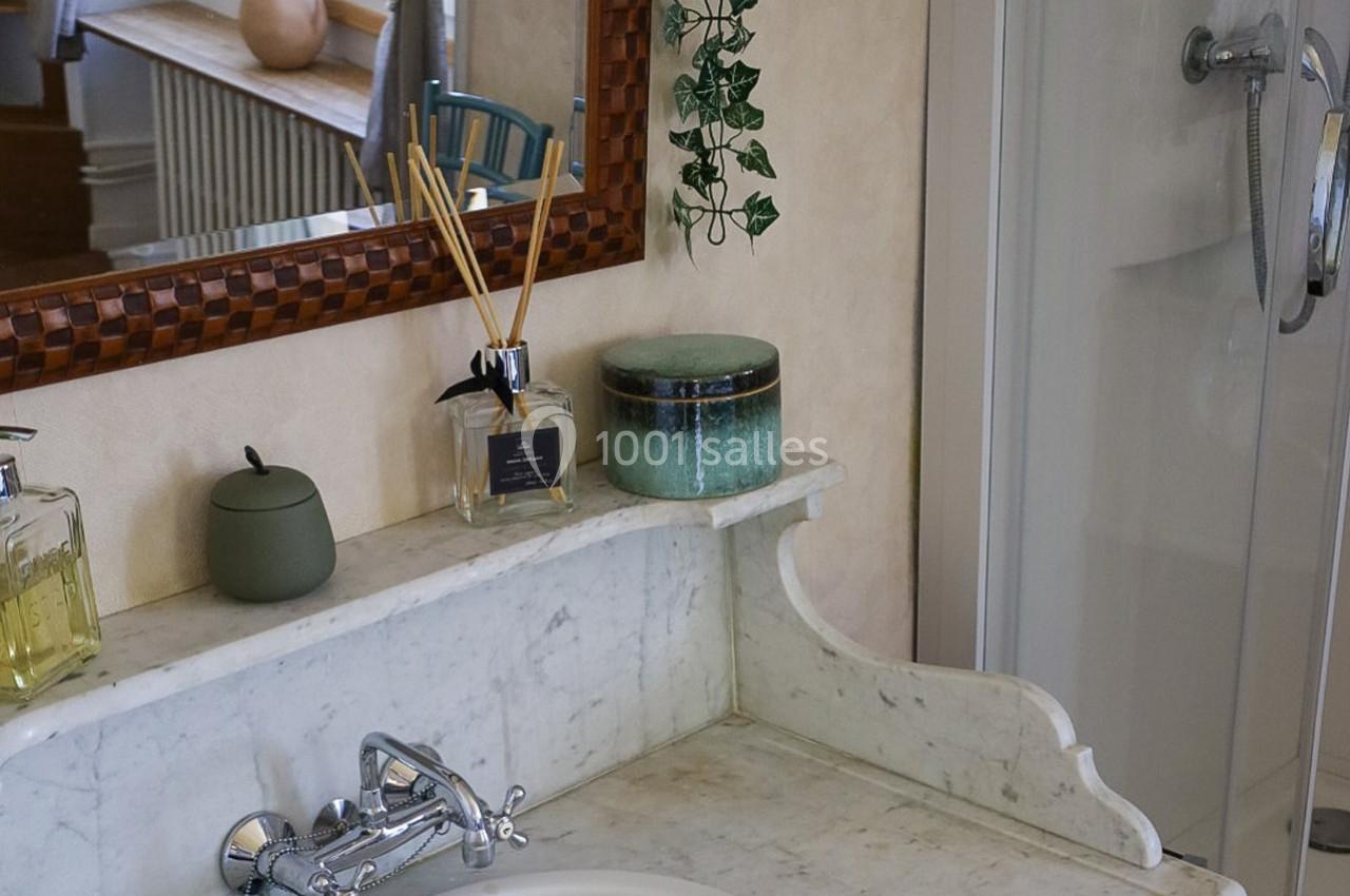 Lavabo en marbre avec accessoires de toilette, miroir encadré en bois, plante suspendue et cabine de douche à droite.